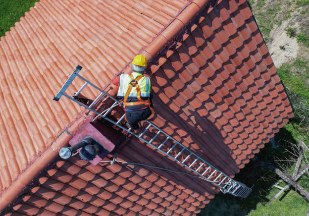 Best Rubber Roofing (EPDM, TPO)  in Sunny Isles Beach, FL