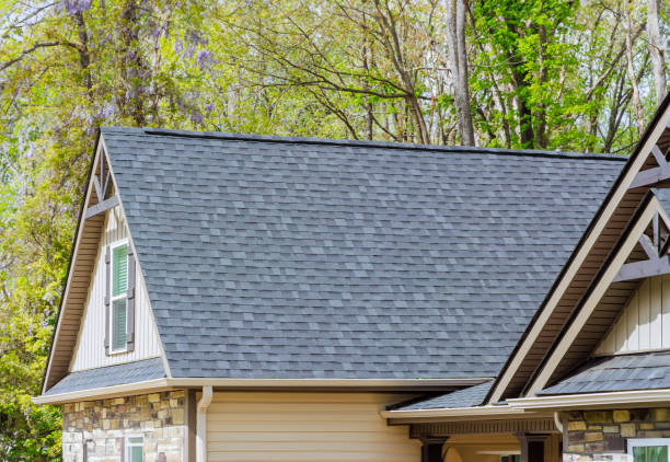 Best Flat Roofing  in Sunny Isles Beach, FL