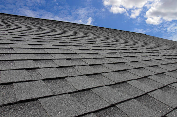 Best Roof Leak Repair  in Sunny Isles Beach, FL