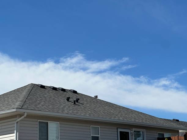 Best Roof Installation  in Sunny Isles Beach, FL