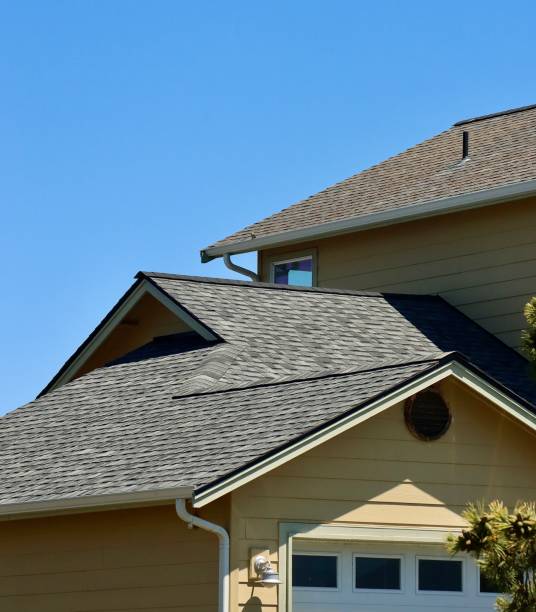 Best Roof Maintenance and Cleaning  in Sunny Isles Beach, FL